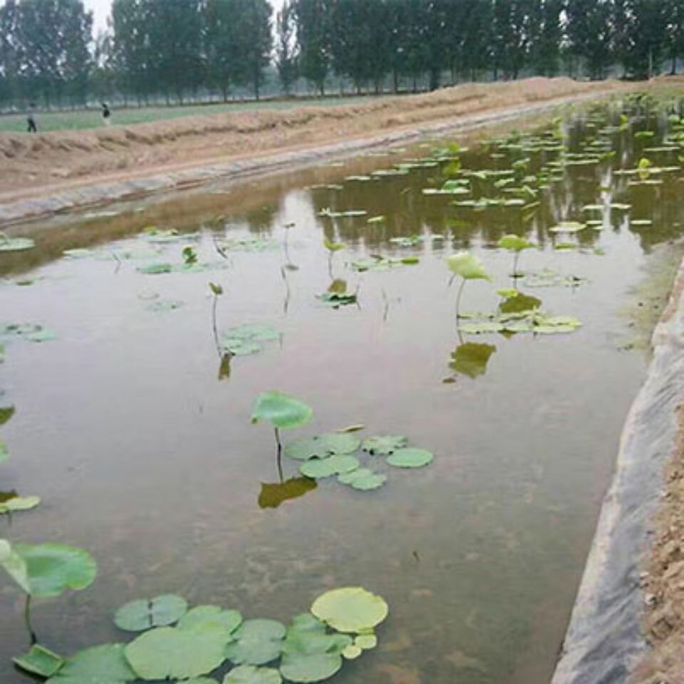 莲藕种植防渗工程