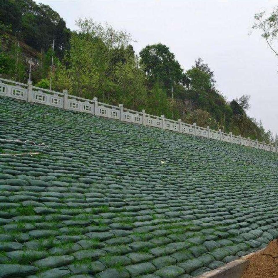 生态袋护坡工程